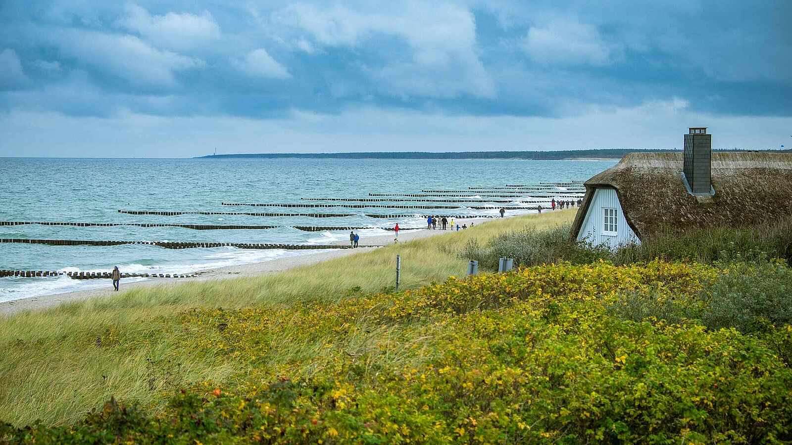 Küste von Ahrenshoop in Mecklenburg-Vorpommern